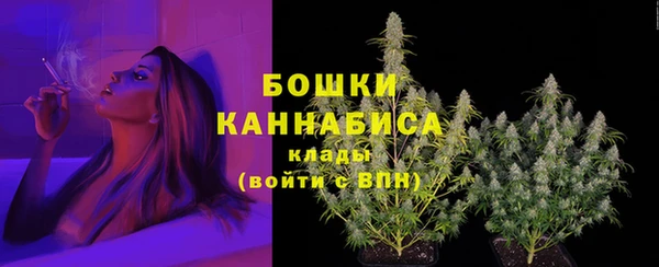 соль ск Белокуриха
