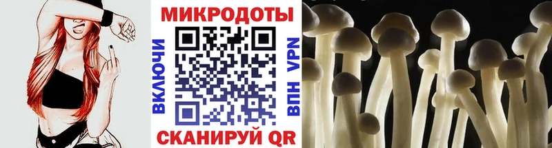 магазин наркотиков Ильский Псилоцибиновые грибы MAGIC MUSHROOMS